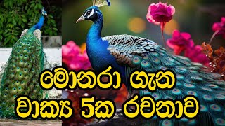 මොනරා ගැන රචනාමොනරා ගැන වාක්‍ය රචනා මොනරා ගැන රචනාවක්monara gana rachanamonara [upl. by Yart]