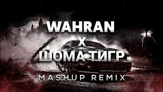 Randall Wahran x Asanrap Шома тигр  Wahran Russian Remix [upl. by Ric200]