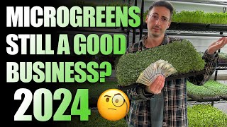 Should You Start A Microgreens Business In 2024 The Truth [upl. by Mcgurn]