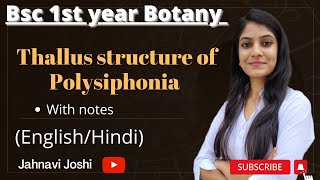 Polysiphonia Thallus Structure Notes Bsc 1st year Botany [upl. by Nawyt489]