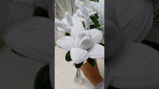 Viral Whiteflowers flowerartpipes shortvideo fypシ゚viral flowers [upl. by Hinman97]