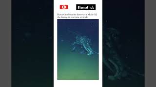 whale fall recorded by a submarine ETERNAL HUB  shorts eternalhub science sciencehub [upl. by Nee]