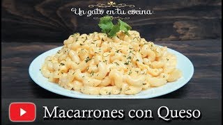 Macarrones con Queso  Receta Fácil y Económica [upl. by Peih]