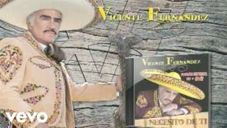 Vicente Fernández  Tengo Cover AudioVideo [upl. by Ayoras223]