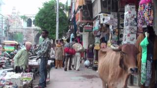 The market of Vadodara Gujarat  India [upl. by Llirrehs29]