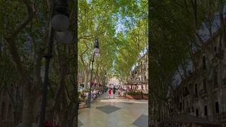 마요르카에서 제일 예쁜 거리💚🇪🇸Passeig del Born mallorca 마요르카여행 스페인여행 travelvlog spaintravel travel [upl. by Eniamret]