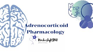 PA School Pharmacotherapeutics Adrenocorticoids [upl. by Thorin]