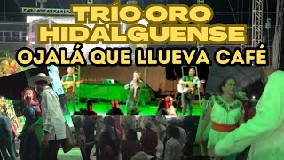 Trío Oro Hidalguense quotOjalá que llueva café en el campoquot [upl. by Ydoj]