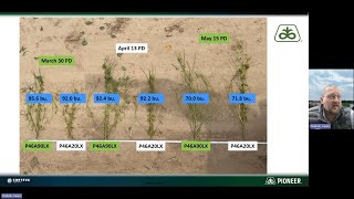 Setting Soybeans Up for Success in Eastern Arkansas [upl. by Elehcin317]