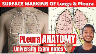 Lung Anatomy [upl. by Sigler745]