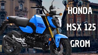 2025 The New HONDA MSX 125 GROM With Its Classic Appearance Will Be Sought After By Many Collectors [upl. by Nnarual106]