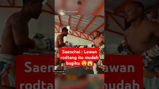 Rodtang vs legend muaythai Saenchai 😯😱 boxing boxingskill fight mma bangghalyh [upl. by Garceau317]