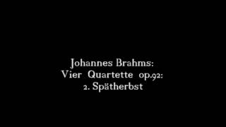 Johannes Brahms Vier Quartette op92 2 Spätherbst 24 [upl. by Eniak]