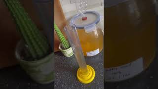 Cyser AKA Apple mead an old fashioned wine using honey as the fermentable sugar mead honey [upl. by Torey]