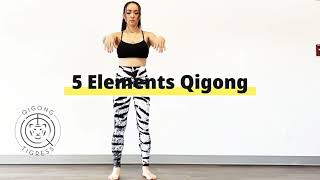 5 Elements Qigong Flow White Tiger Qigong [upl. by Ateiram]