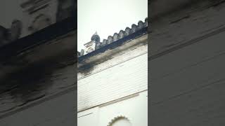 Hooghly Imambara  Short Trip  Mosque  Near Bandel [upl. by Virgy]