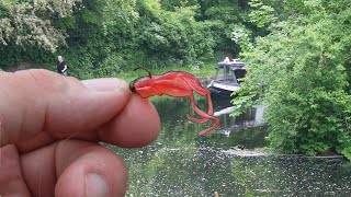 How Many Canal Species Can I Catch on Lures Only Challenge Accepted [upl. by Lambrecht]