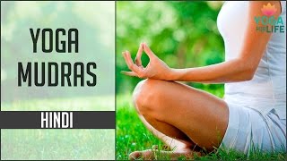 Yoga Mudras in Hindi  Top 5 Mudra Postures and Benefits  Yoga for life [upl. by Urissa738]