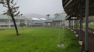 Morning rain on Pohnpei [upl. by Sucirdor]