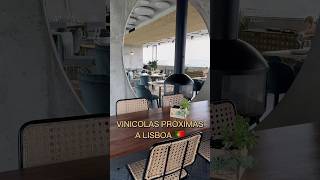 Vinícolas proximas a Lisboa para visitar vinho [upl. by Novyar460]