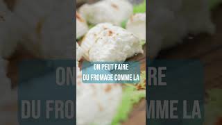 Comment on fait du fromage [upl. by Reffinej]