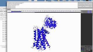 pymol 7 using the sequence display [upl. by Ellek]