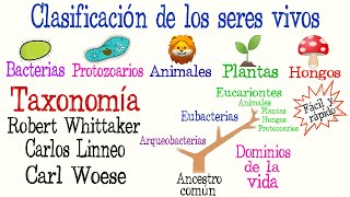 🌿5 Reinos y 3 Dominios de la Vida🐠  Clasificación de los seres vivos Fácil y Rápido  BIOLOGÍA [upl. by Barclay]