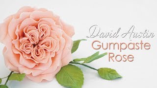 Gumpaste David Austin Sugar Rose Tutorial [upl. by Sedaiuqlem]