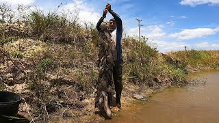 PEGANDO PEIXE INVASORES DO RIO PESCARIA DE PENEIRÃO [upl. by Eelannej27]