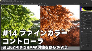 SILKYPIXでRAW現像をはじめよう 14 ファインカラーコントローラ [upl. by Aneem]