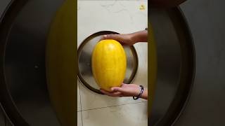 Yellow Watermelon is Really Unique🤯🔥 [upl. by Glenden]