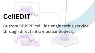 CellEDIT CRISPR Cell Line Engineering Service  crisprgeneediting crisprcas9 geneediting [upl. by Endaira885]