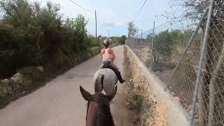 Half Day Hack from Son Menut in Majorca [upl. by Herriott885]