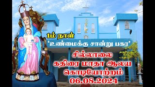 live புனித கதிரை மாதா ஆலய கொடியேற்றம் 06082024 [upl. by Noreh]