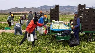 Como se si los pueblos son buenos para empezar en españa 🇪🇸 parati funny españa inmigrantes tu [upl. by Abate]