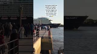 Schwarzer Humor auf Kreuzfahrtschiff ￼😂👀 humor kreuzfahrt meinschiff [upl. by Elleved902]