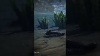 WHAT DID THE SILURIAN FAUNA LOOK LIKE earth scorpions history [upl. by Akcirred]