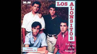 Los Alonsitos  LA VOZ DE LA SANGRE 1992 Disco Completo [upl. by Leitman611]