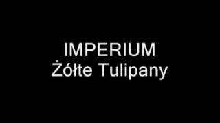 Imperium  Żółte Tulipany [upl. by Haleeuqa743]