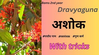 अशोक द्रव्य with tricks अशोक रसपंचक पर्यायनाव कर्म dravyagunabams 2nd year dravyagunatricksbams [upl. by Yeliw593]