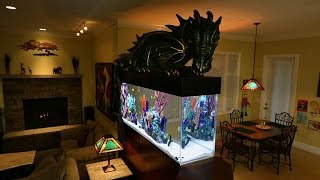 Magical Dragon Fish Tank [upl. by Hurlee869]