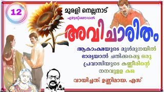 🌿 അവിചാരിതം 12muralinellanadnovels malayalam storytelling muralinellanad malayalamnovel love [upl. by Emixam]