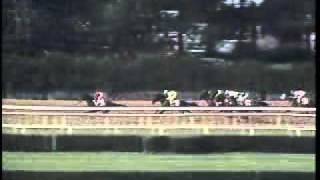 Easy Goer  1989 Belmont Stakes [upl. by Arlette]