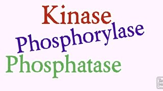 Kinase  Phosphorylase  Phosphatase  Biochemistry [upl. by Ludovick]