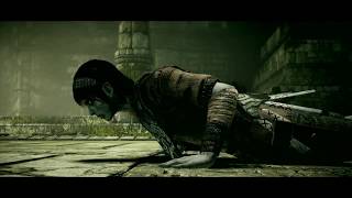 Shadow of the Colossus Remake final español [upl. by Baldridge669]