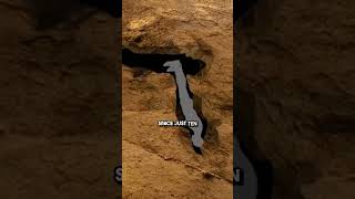 Lost in Nutty Putty cave The Last Moments of his Life 💀💀 tragedy viral [upl. by Elmore]