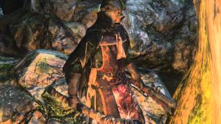 Bloodborne New NPC Hidden in the Forbidden Woods [upl. by Arimihc]