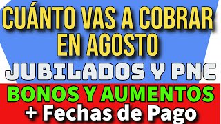 💥Cuanto cobro en Agosto BONO Y AUMENTO de Anses  JUBILADOS Y PNC 💲285000 INFLACIONMILEI [upl. by Melburn]