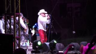 Ignoraste Mis Lagrimas Pancho Barraza en Zacatepec 2014 [upl. by Hsinam]