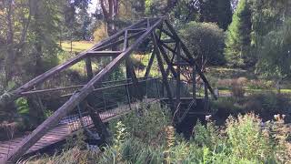 Bedgebury National Park Ticehurst England Oct 2017 IMG 1317 [upl. by Barger]